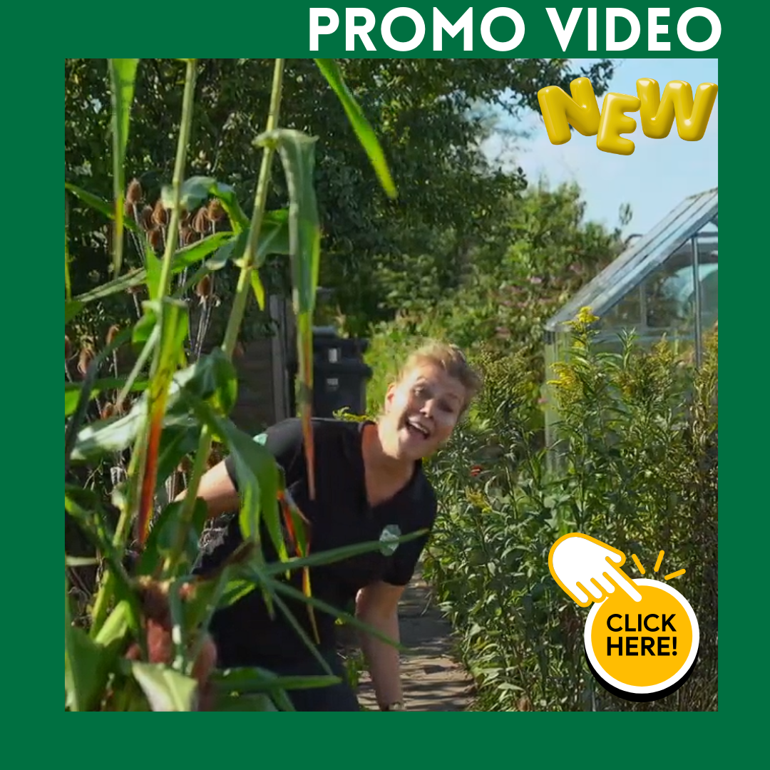 Promotievideo Project Schooltuin 