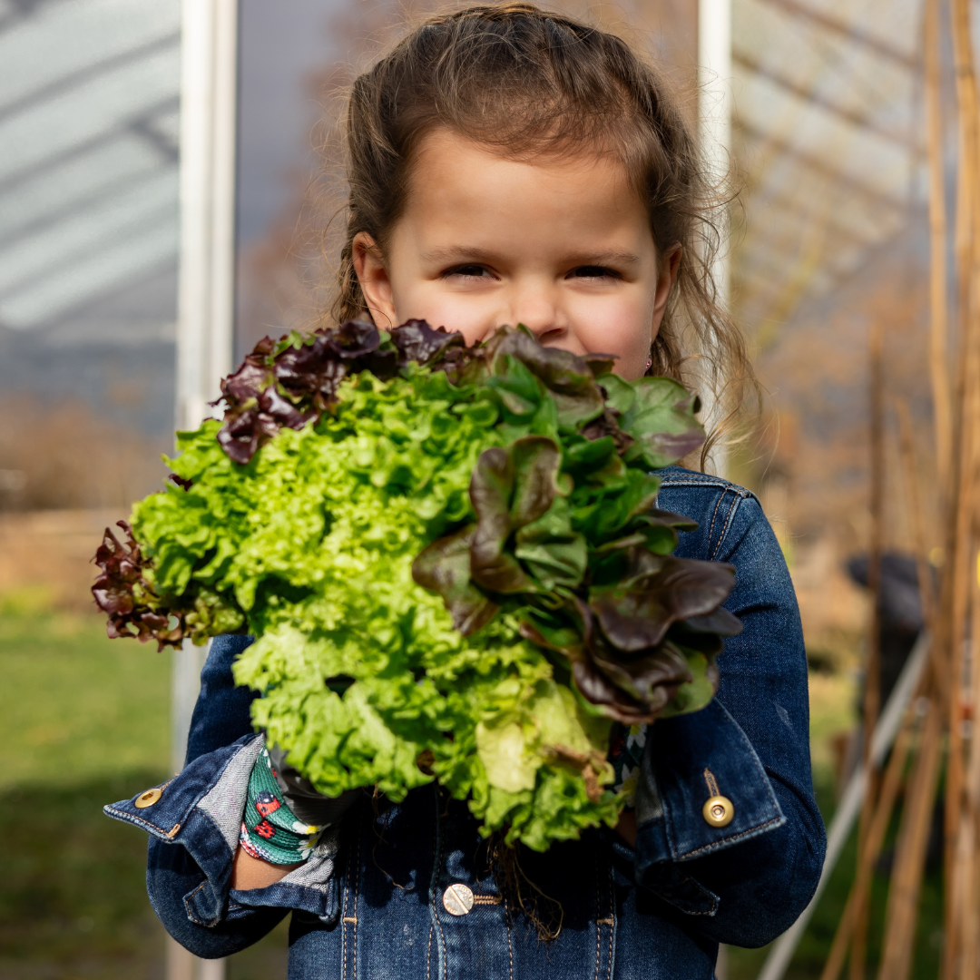 Missie Moestuin - resultaat 