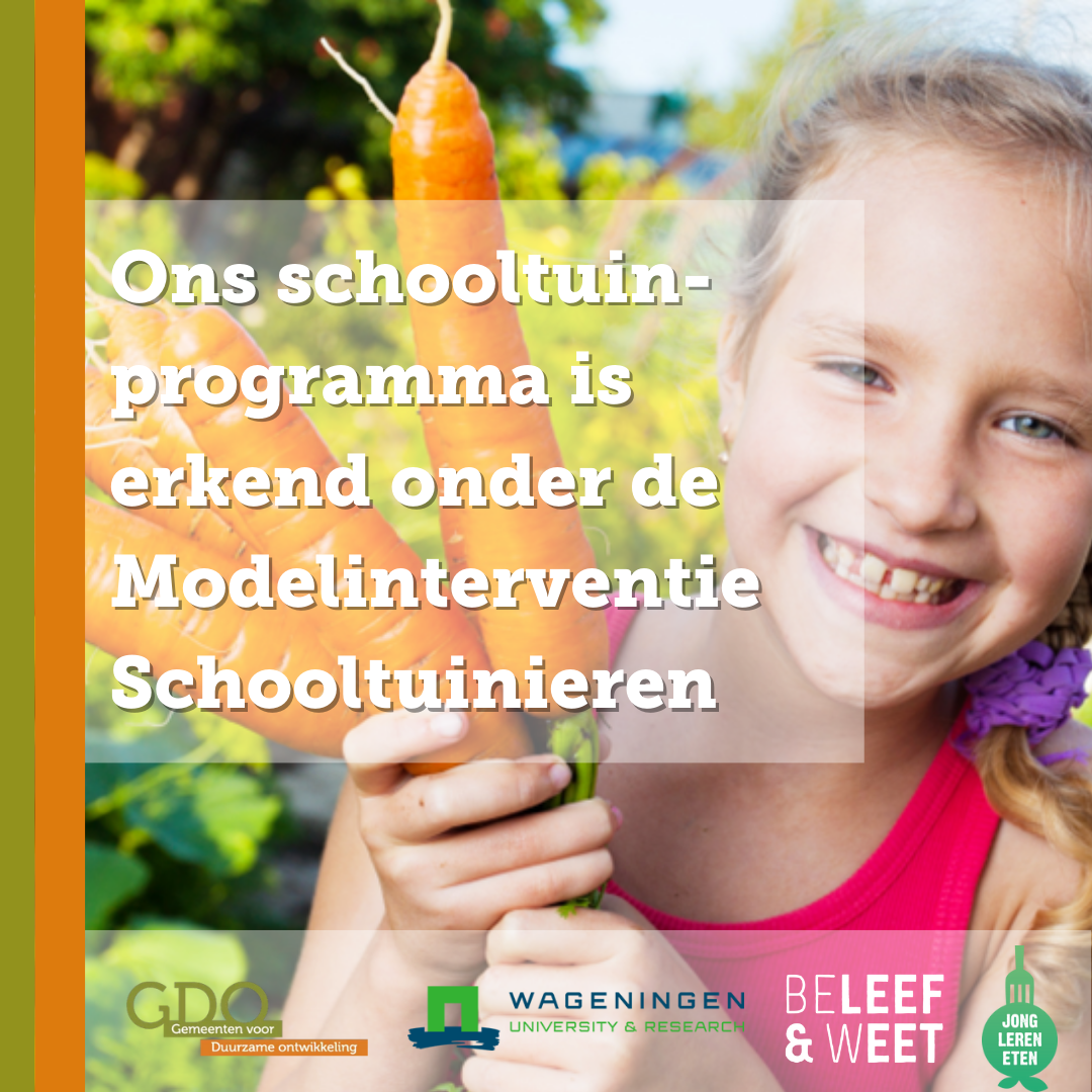 Promotievideo Project Schooltuin 