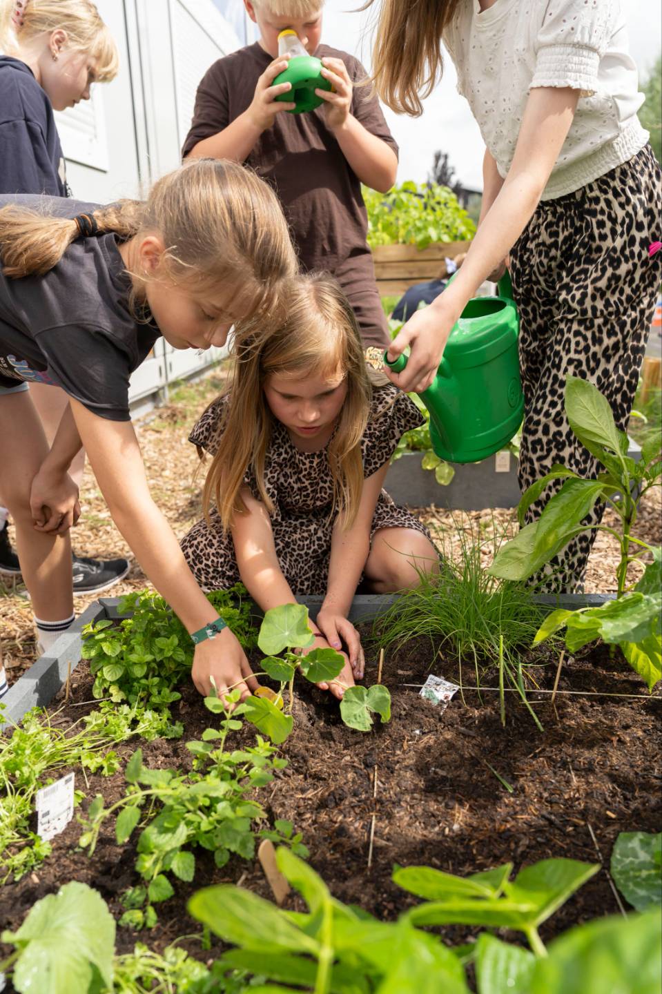 Missie Moestuin - resultaat 