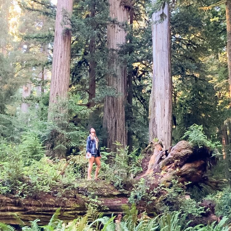 Watercolor Mixing and Painting Expert | Juliene Sinclair