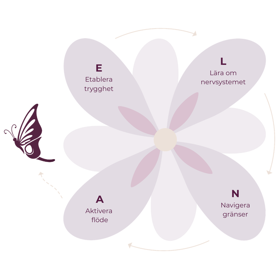 Illustration av Helt Underlivs metod med fokusområdena: flöde, trygghet, hjärnträning och gränssättning, representerade av ikoner för vågor, hjärta, hjärna och batteri