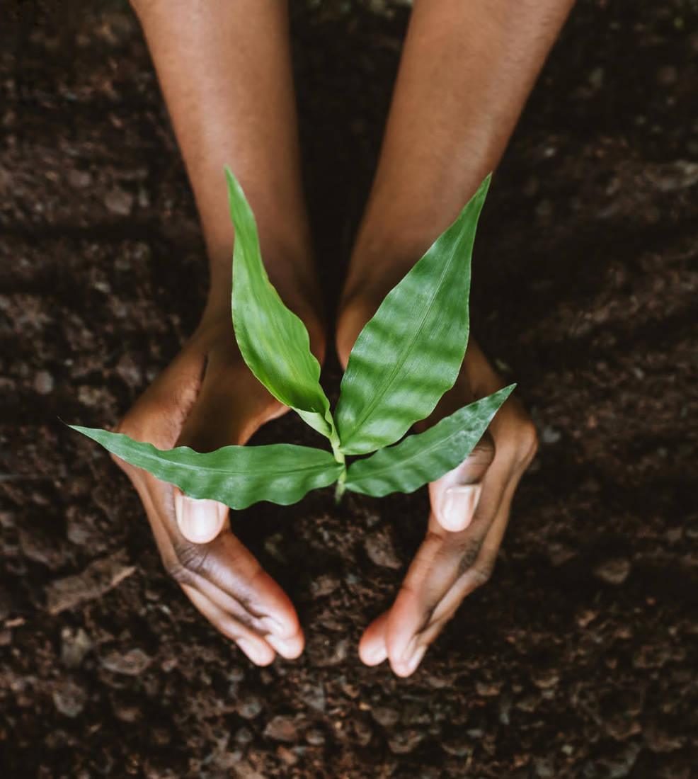 Natural Transitions Institute certification for holistic life event ceremonies