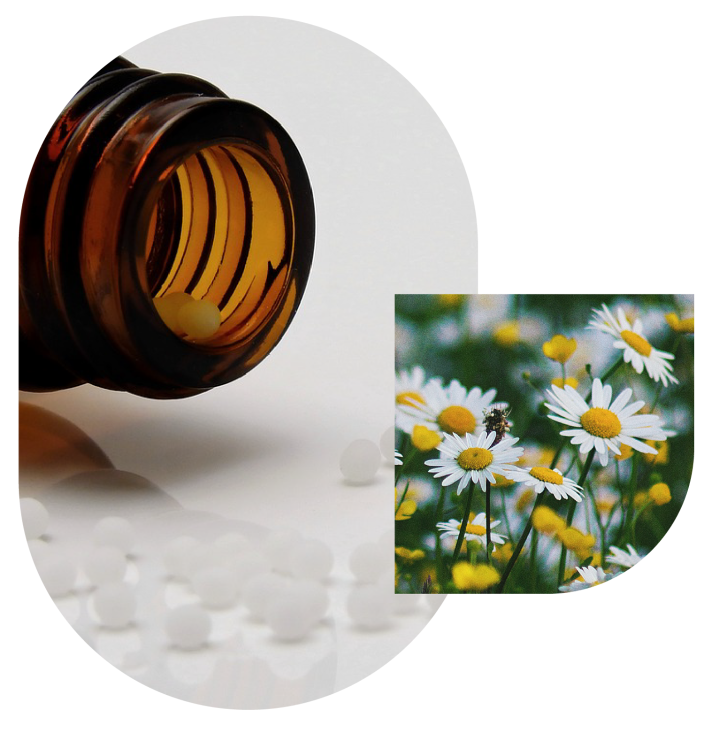 Kari Fox Wellness — Circadian Health for Perimenopause and Menopause.