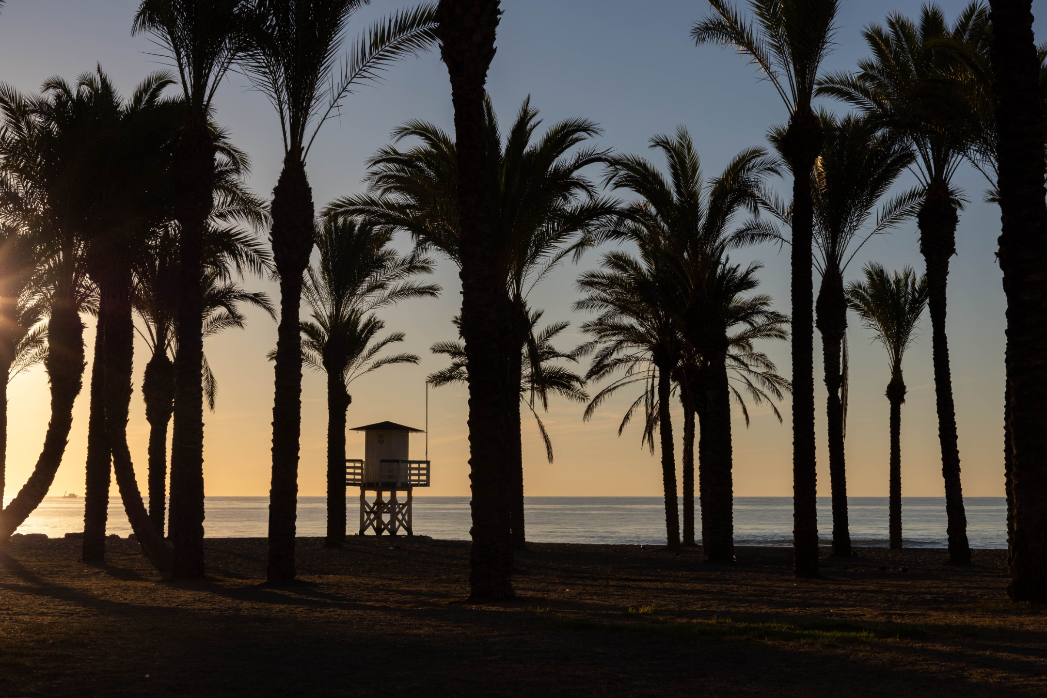 Hjelp med skattemeldingen, hjelp til skattemeldingen, utfylling av selvangivelse, utfylling av skattemelding, kryptovaluta skatt, prop firm, skattespørsmål, hjelp til skatt