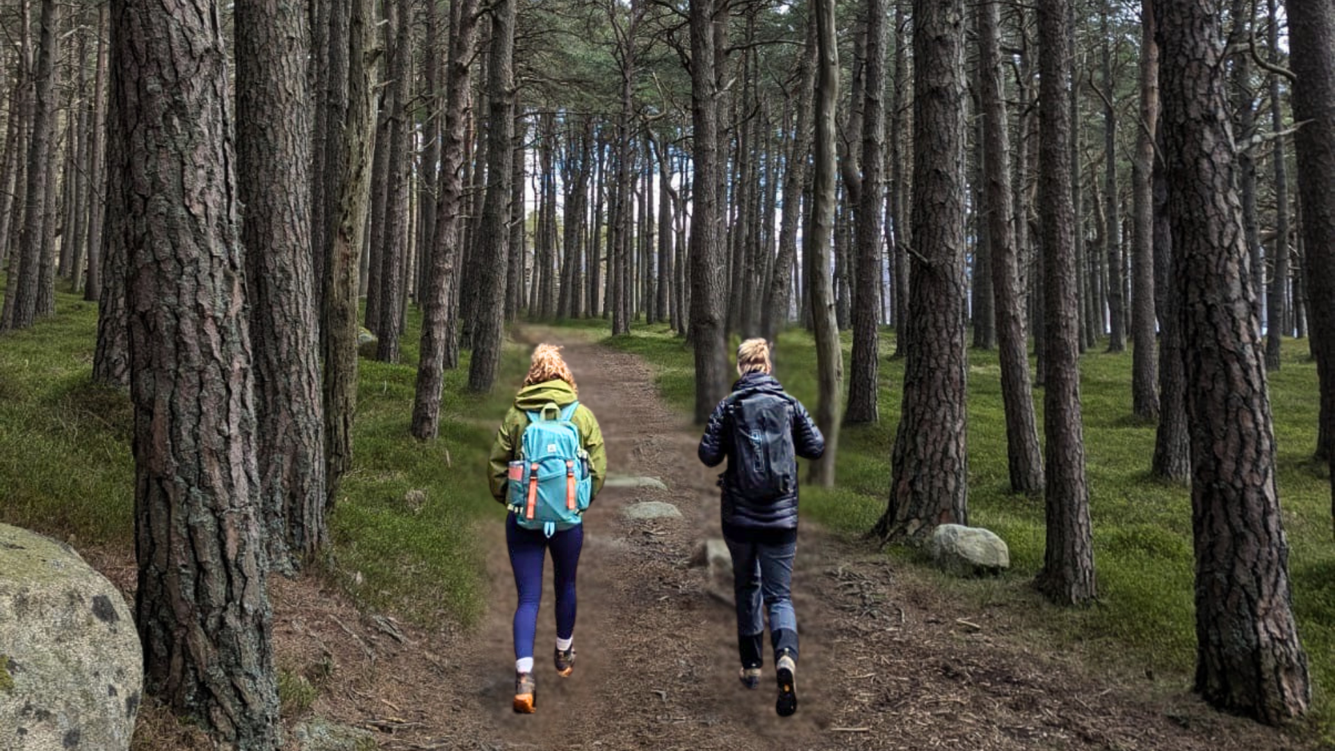 Health, Lifestyle & Business Coaching with Alice Thomson