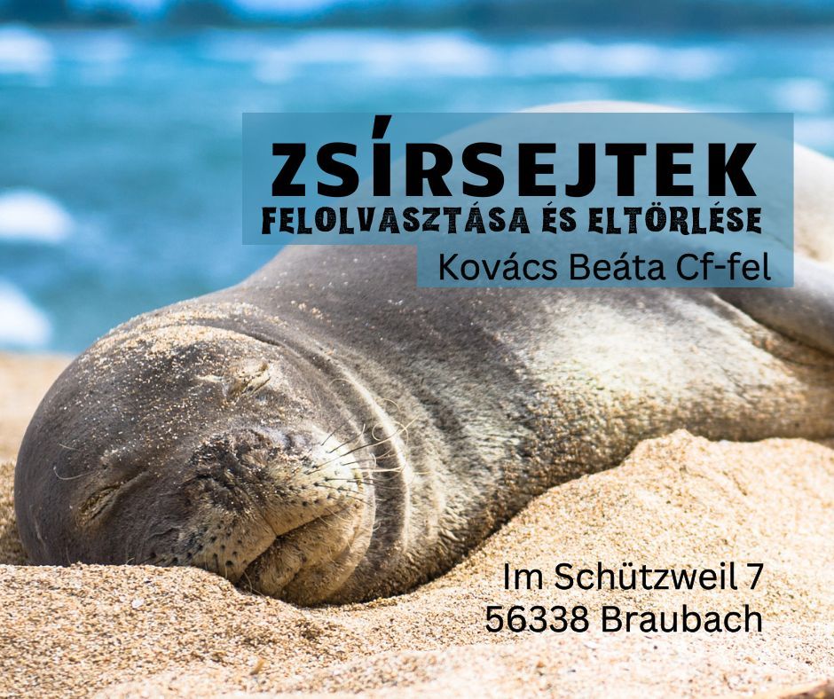 MTVSS Kovács Bea Cf