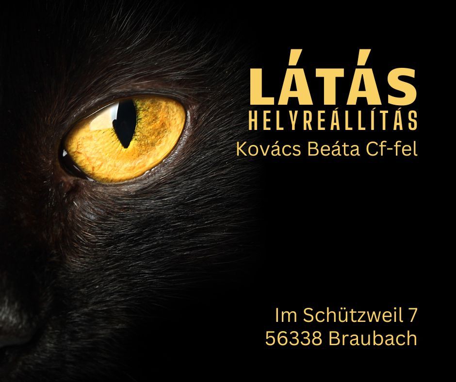 Látás Helyreállítás Access Testkezelés Kovács Bea CF