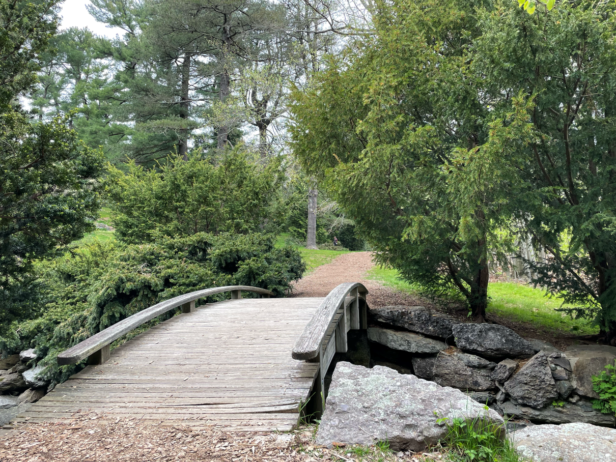 Wooden bridge over a calm path, symbolizing transition and reflection.