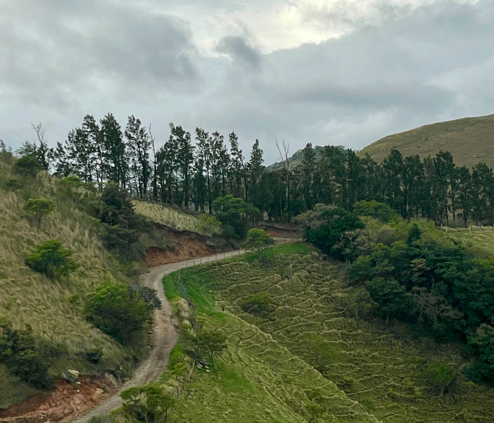 Clarifying What Matters career book on a table in a cafe with a cup of coffee