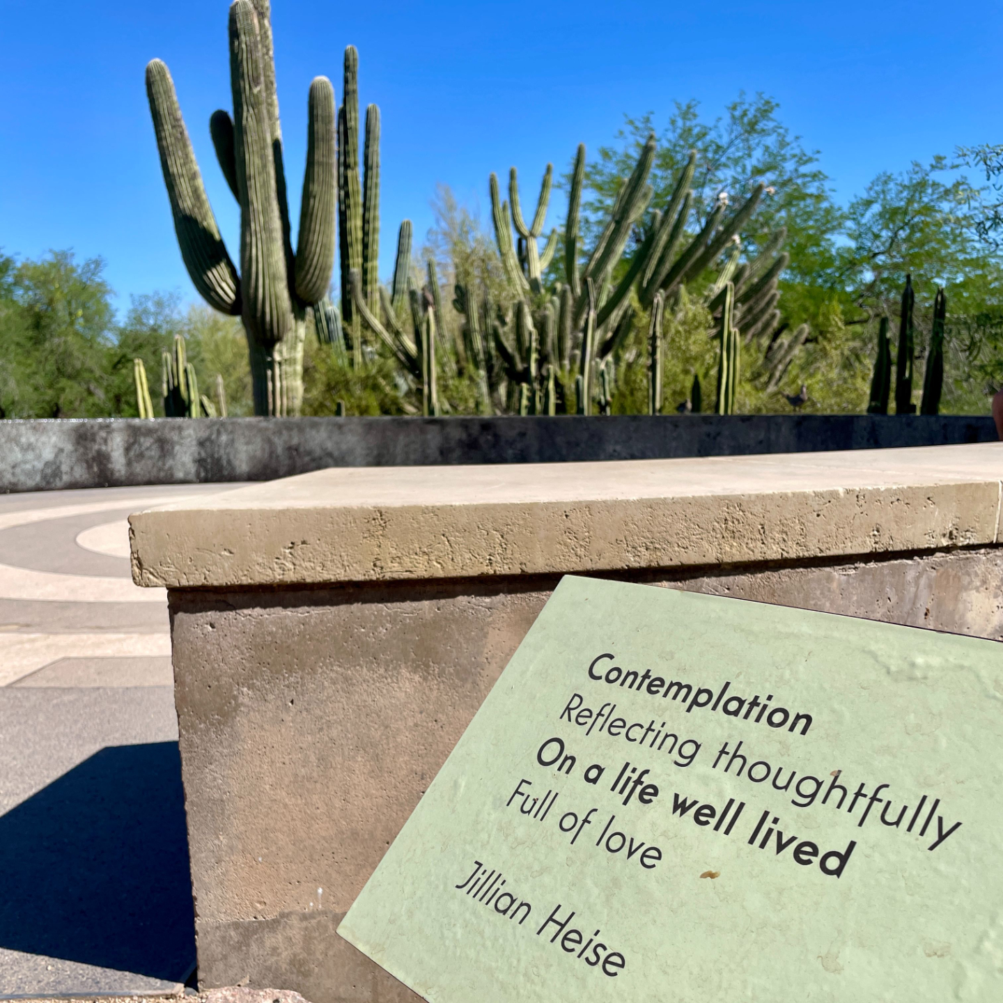 Cacti and a contemplation quotation to represent mindset books