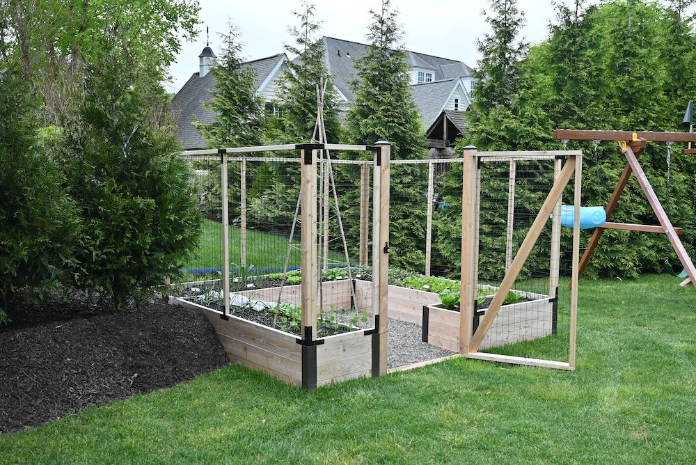 A raised bed garden
