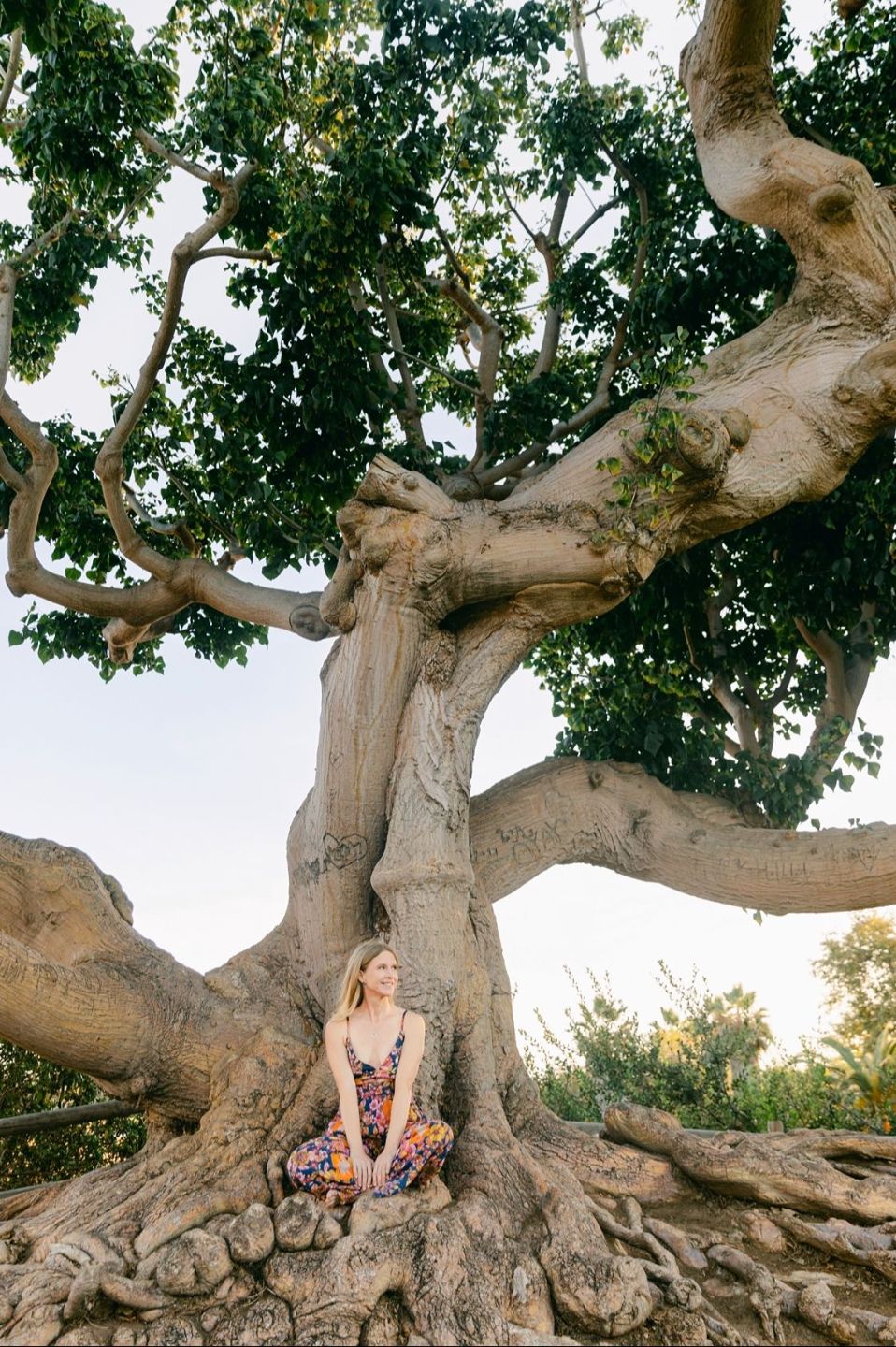 Christine Foerster, Menopause Nutritionist, sitting beneath a large tree symbolizing awareness, grounding, and holistic healing during the menopause transition