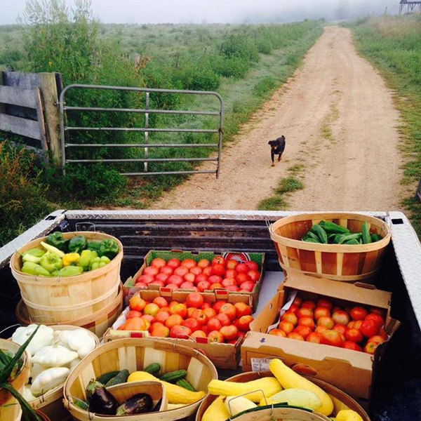 mee mccormick on table