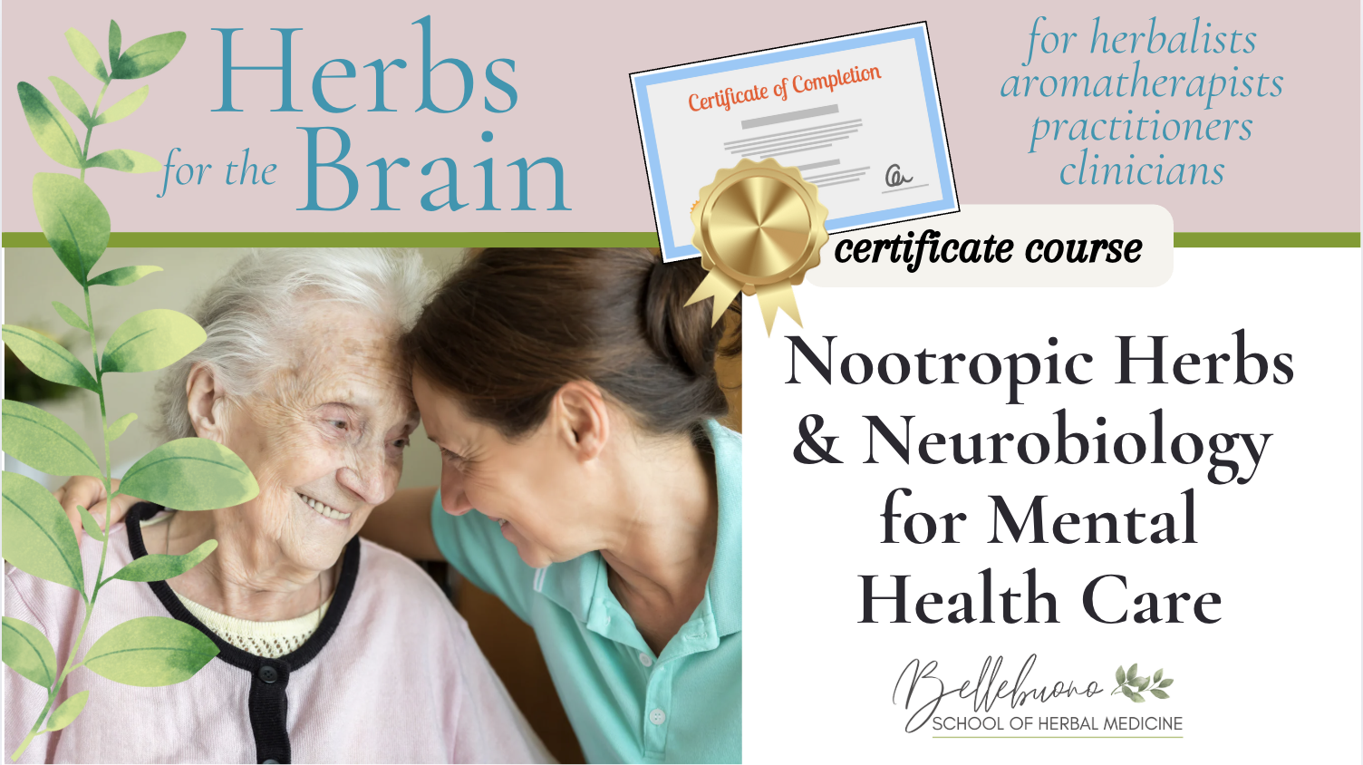 herbs for the brain courses