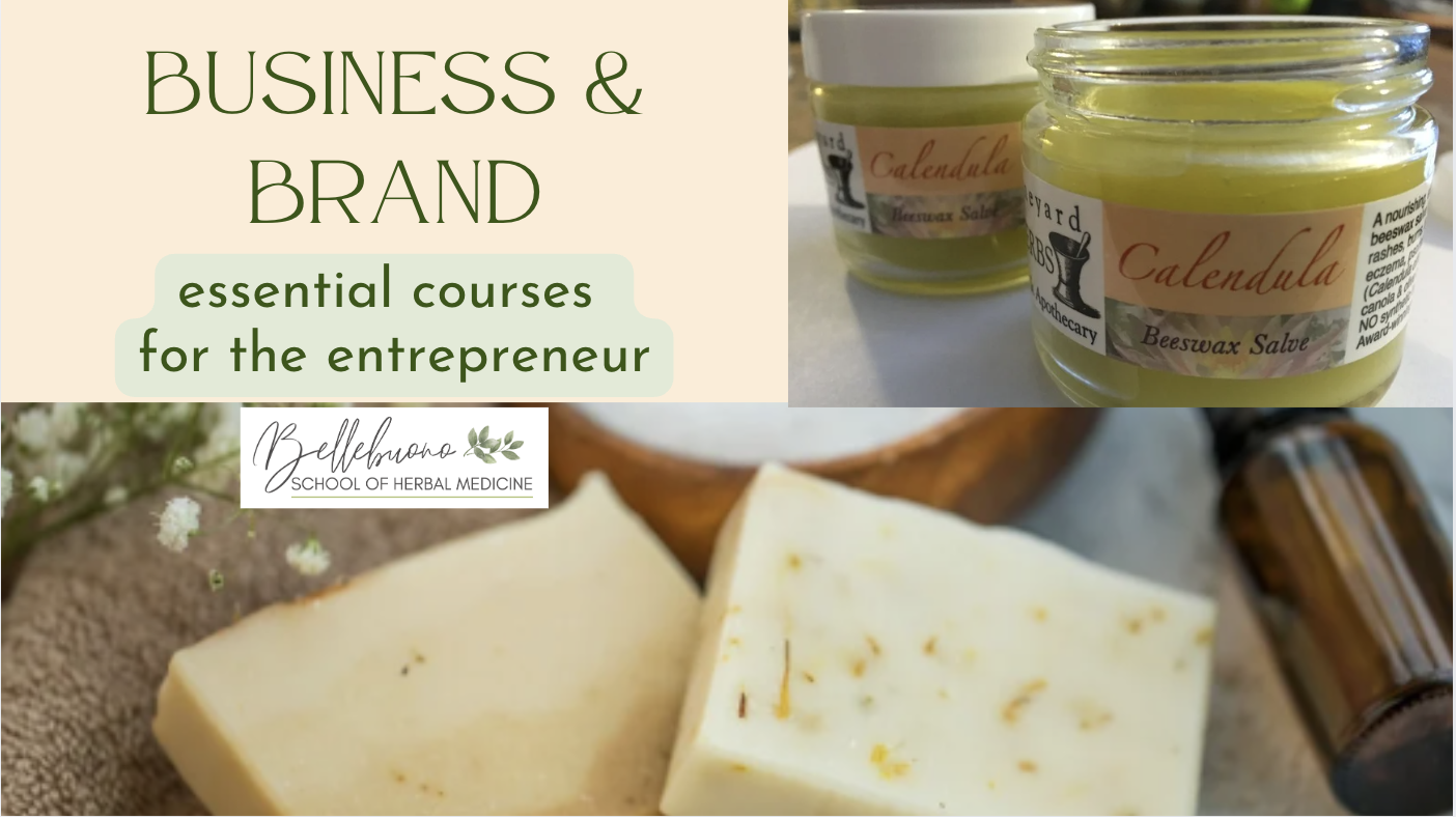 Holly Bellebuono courses and coaching