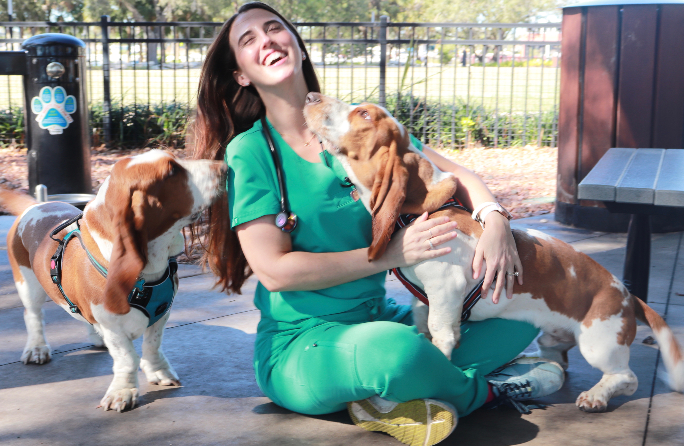 custom consultation for dog owners on their dogs health and food, so their dog can be healthier and live longer