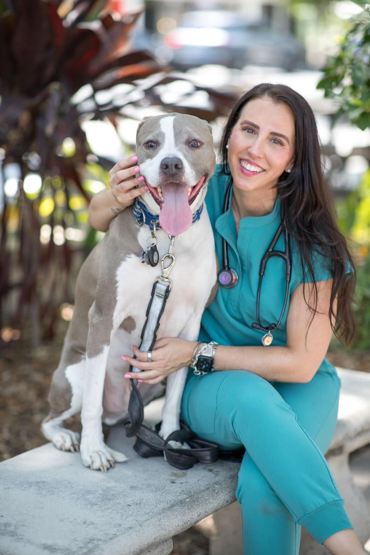 custom consultation for dog owners on their dogs health and food, so their dog can be healthier and live longer