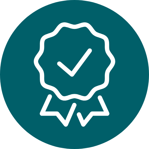 Project model voor het starten