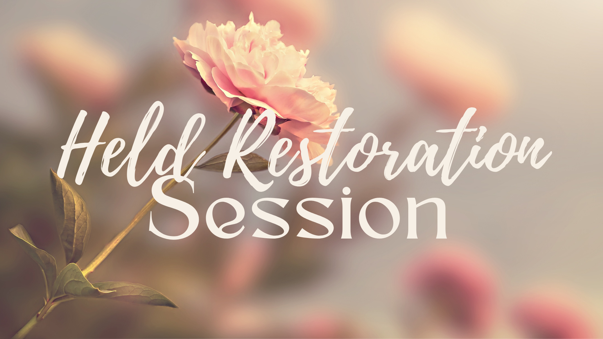 $150 - 90 Minute Session