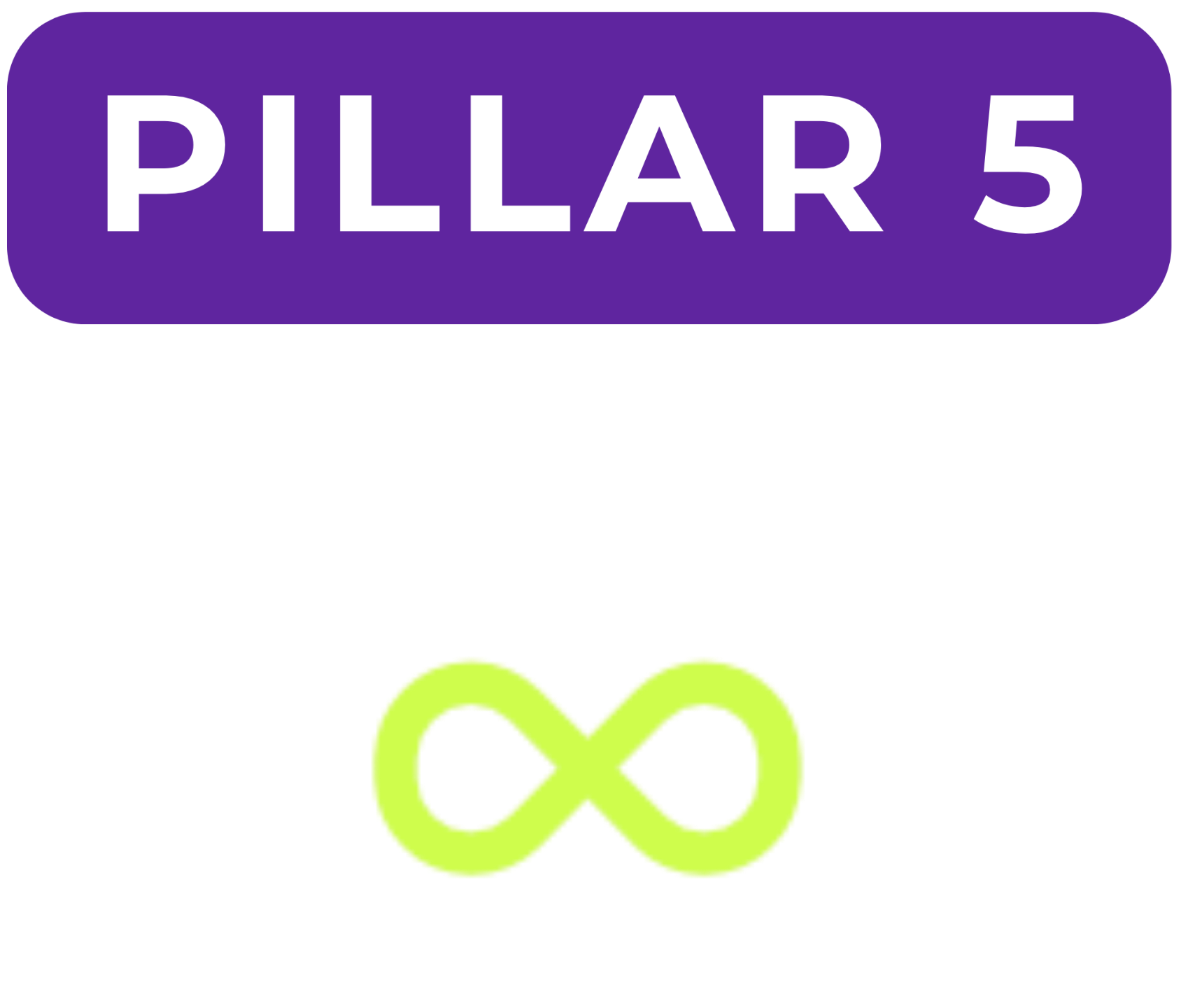 Pillar 2 image