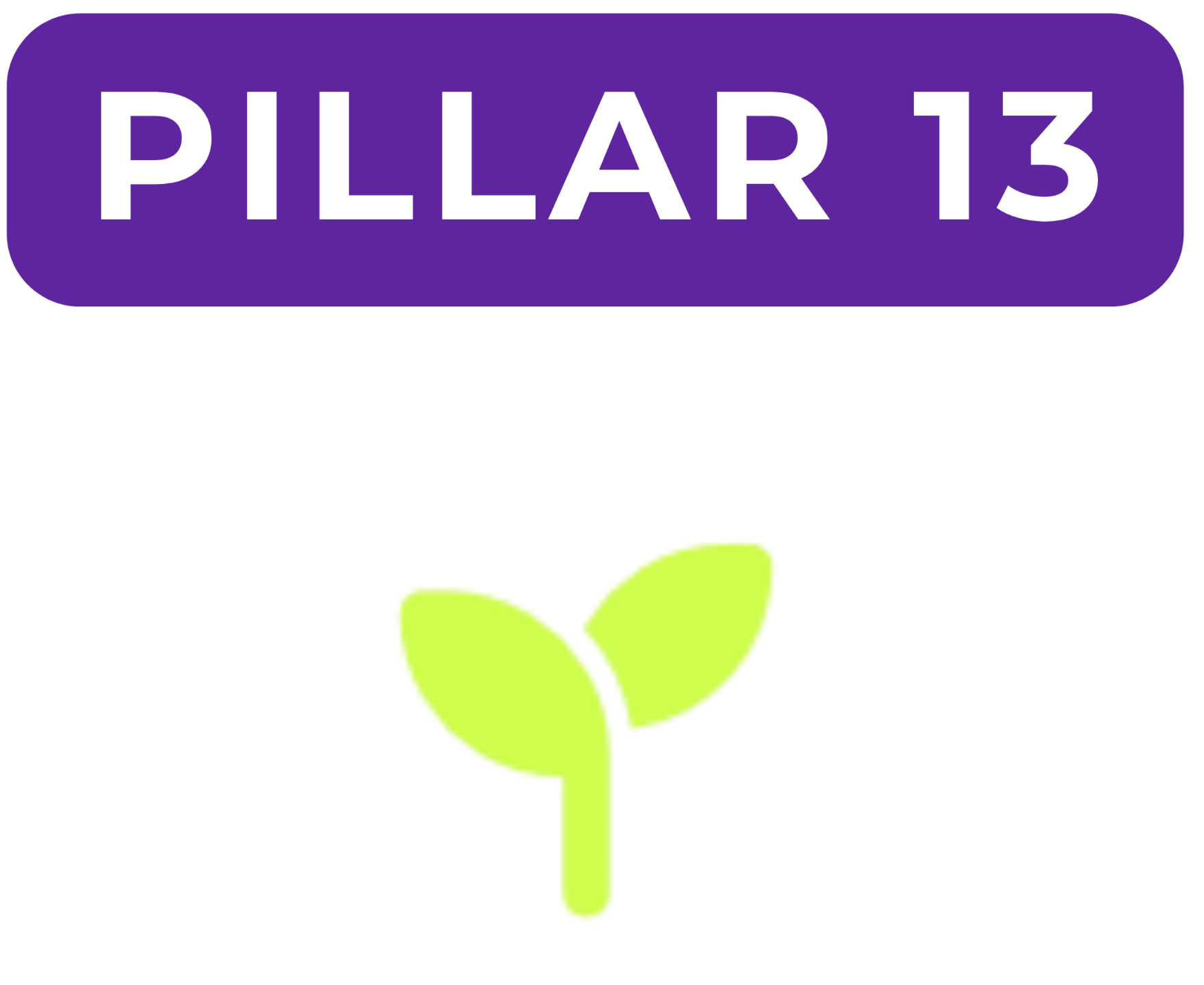 Pillar 2 image