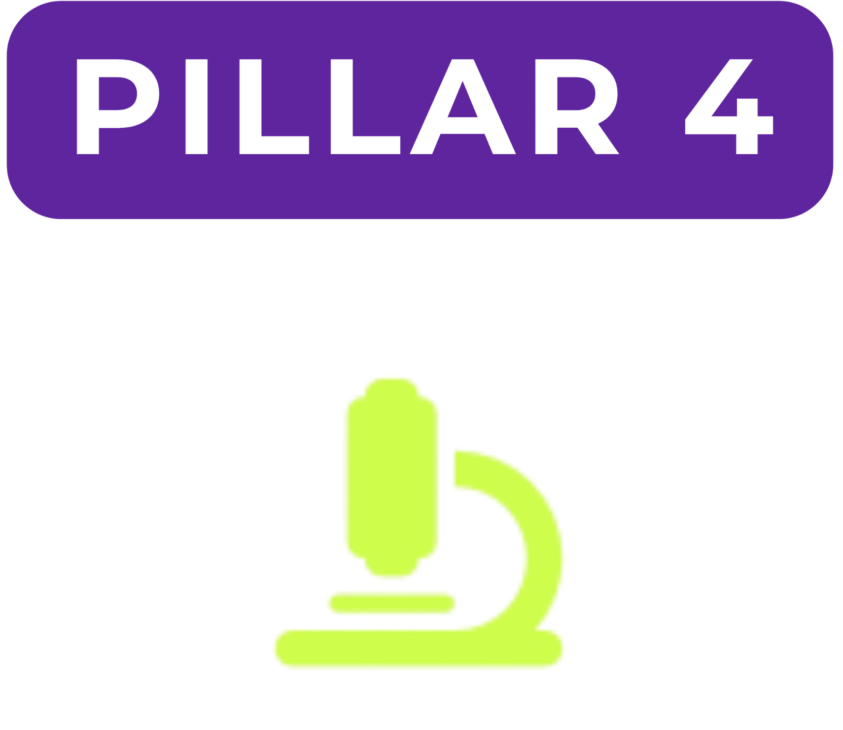 Pillar 2 image