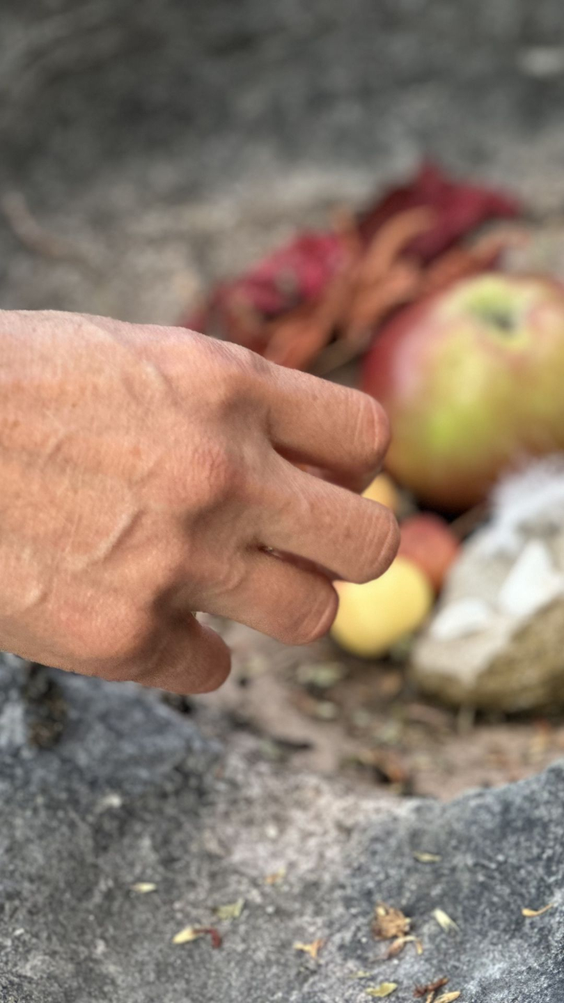 hand reaching into a bowl with an apple