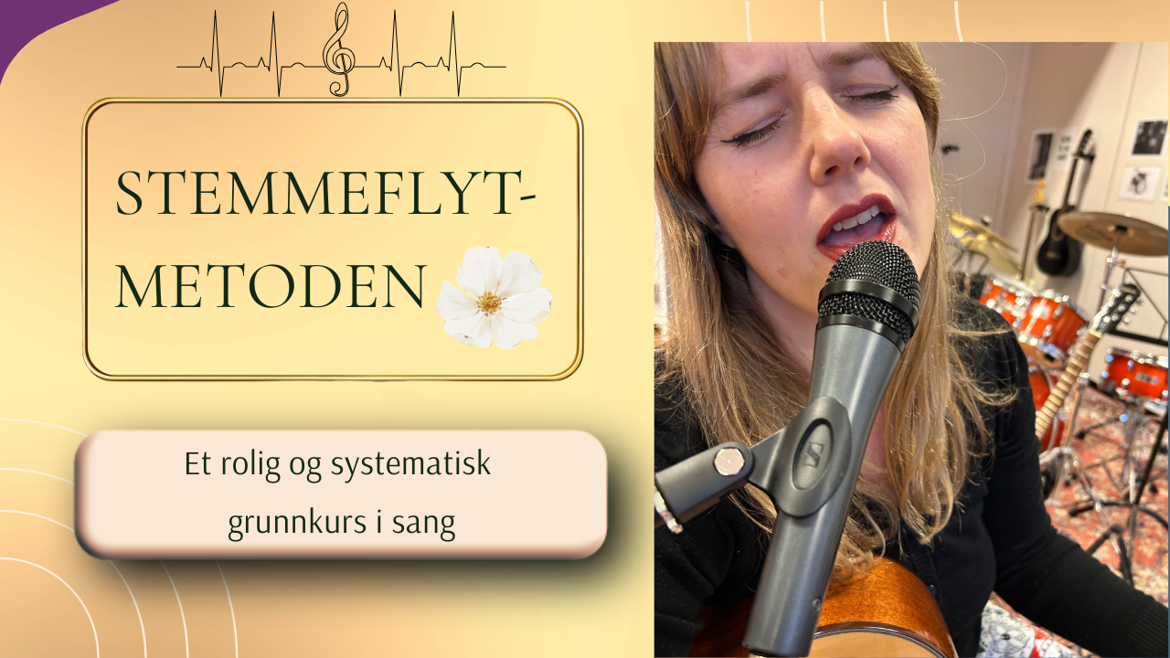 Sangglede, lære å synge, synge fint, sangteknikk, lyse toner, hodeklang, lufitg, soul, pop, rick, viser, julemusikk, sanglærer, sangtime, konsert, vokalist, band, starte opp band, sangtrening