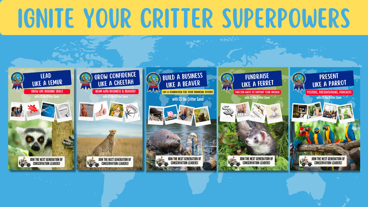 Fun-Filled Handbooks