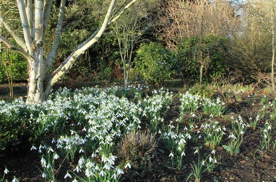 Mind21 Stress Course Presenter