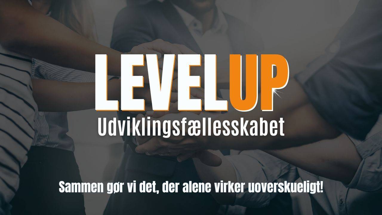 Læs mere om LevelUp 