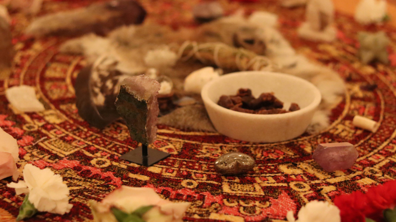 Foraged + Wild Private events