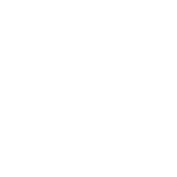 icon of person sprinting