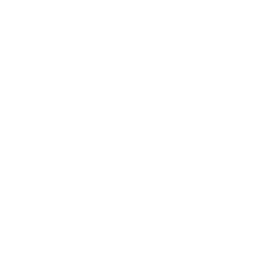 Icon of person with medal