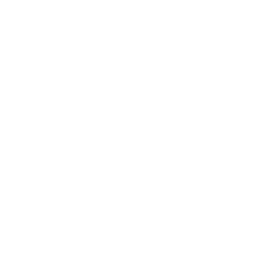 Icon of person with medal