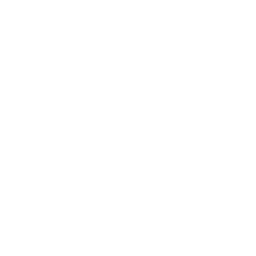 icon of person sprinting