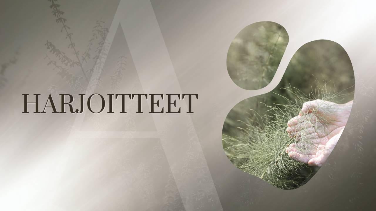 parisuhde verkkokurssin bonuksen kansigrafiikka