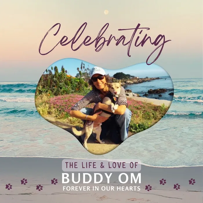 Cover of a memory storybook created with Treasured Heart Stories storybook course-Celebrating Buddy Om.