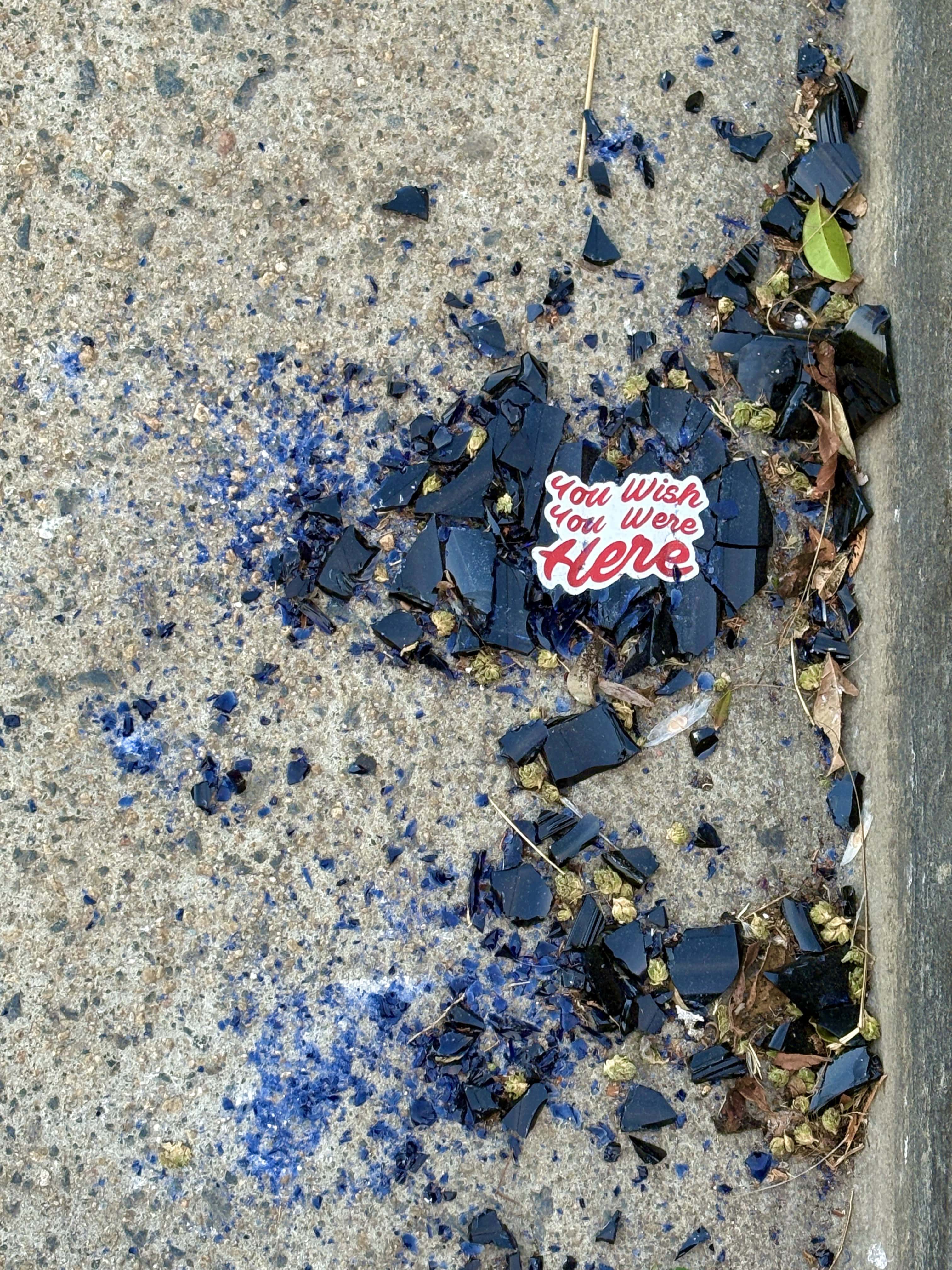 broken blue bottle with the words You Wish You Were Here on the label