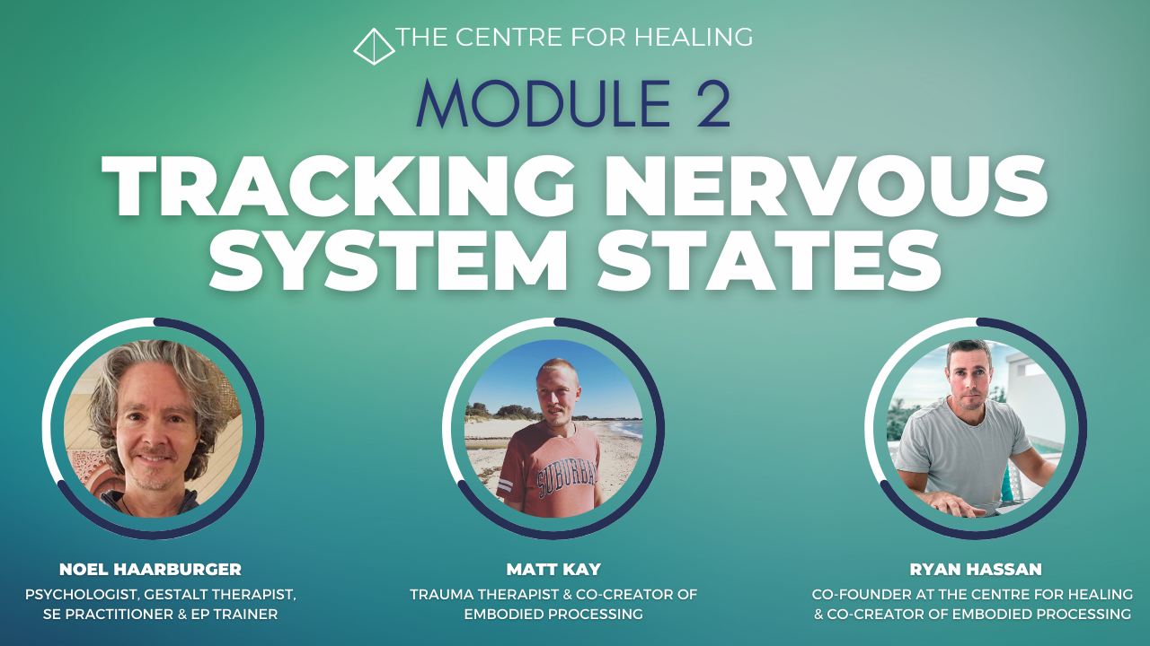 EMDR vs Somatic Therapy: Differences, Benefits & the Best