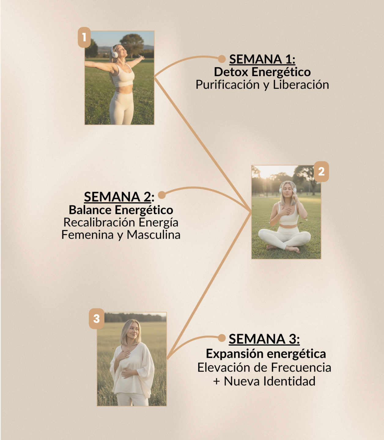 Descripción descriptiva de la imagen