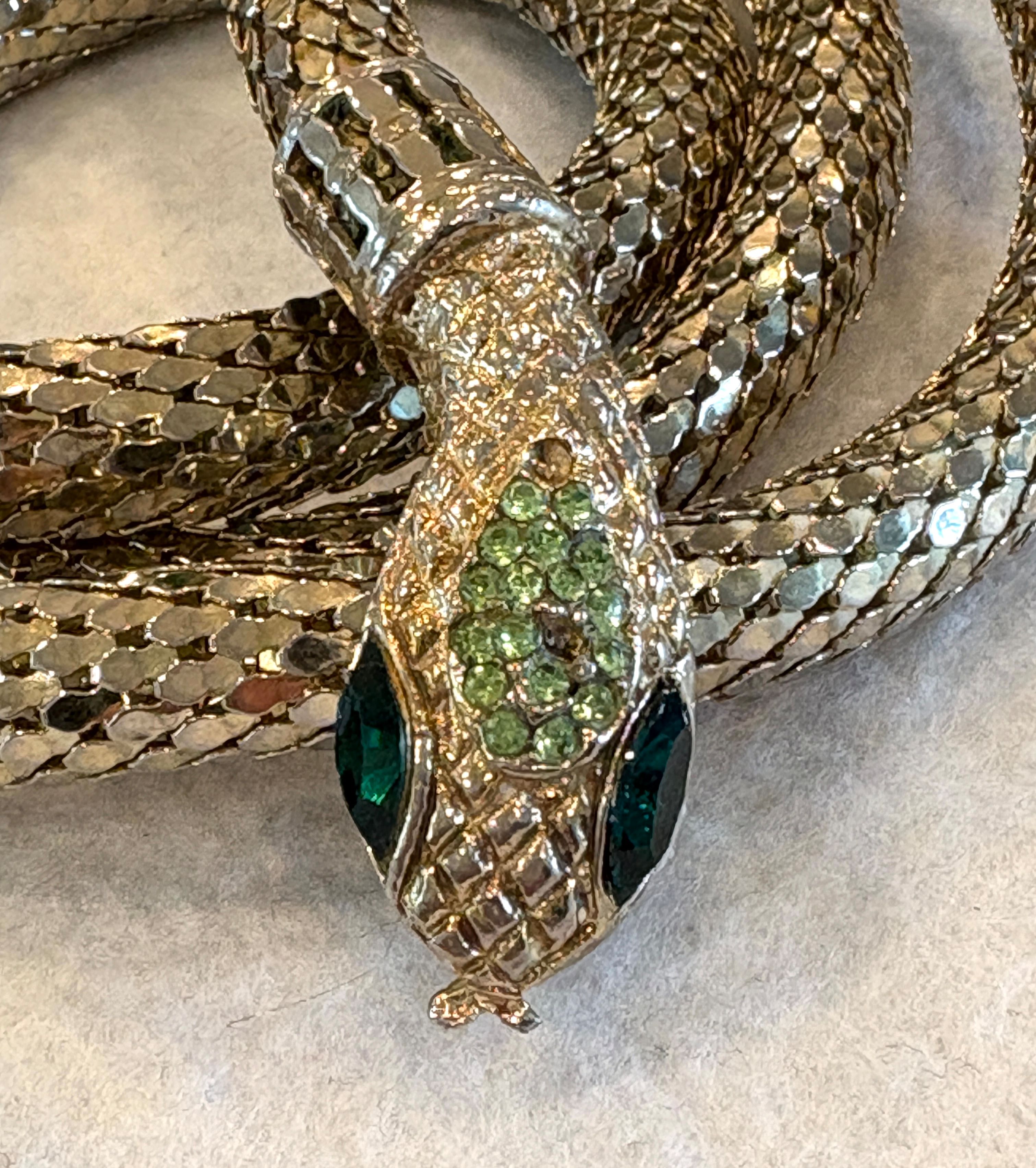 snake closeup
