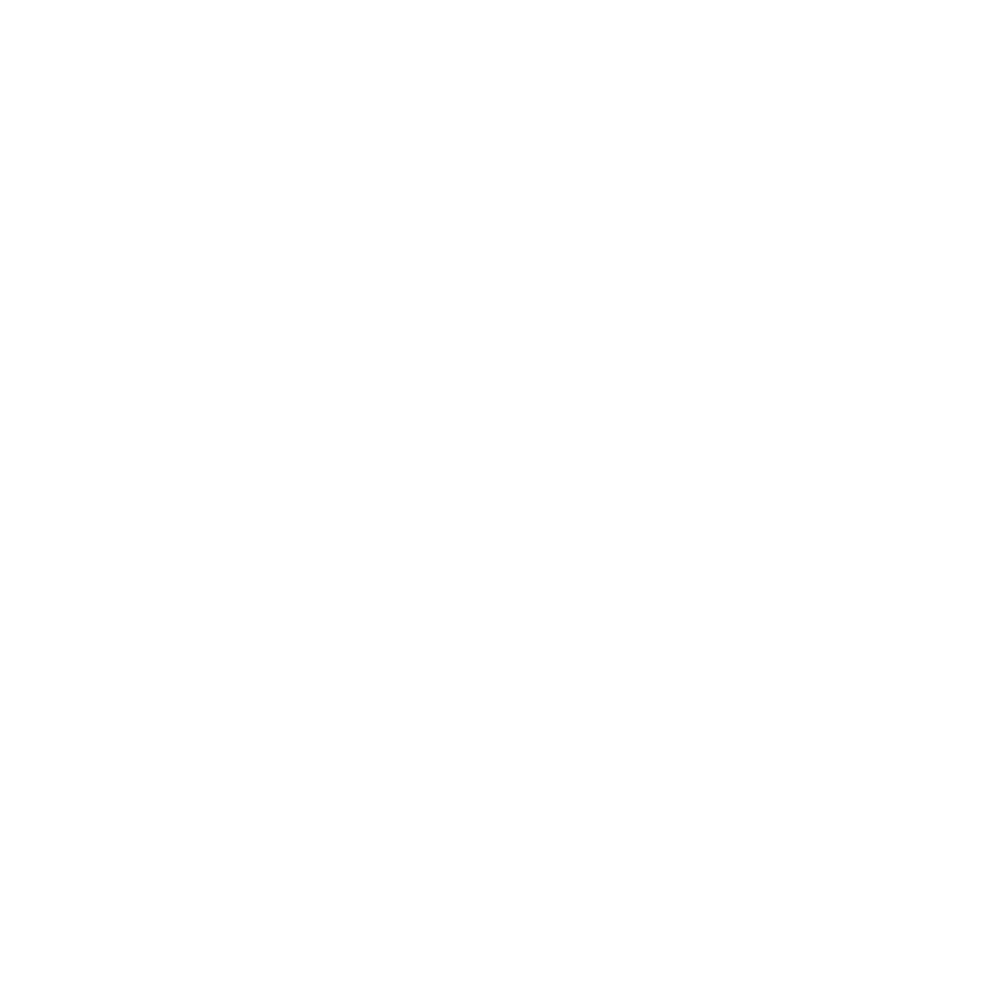 Logo Sunreed Center Sunreed Instruments