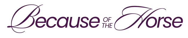 Art Of The Horseman logo