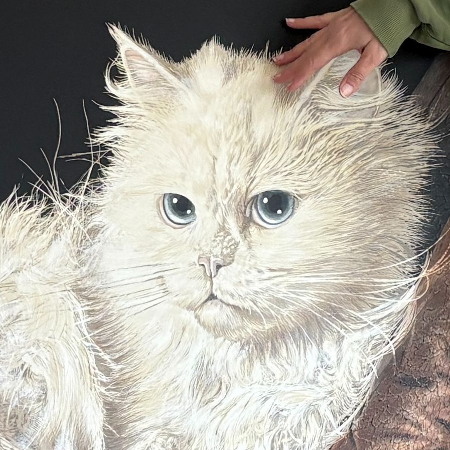 Cashmere closeup
