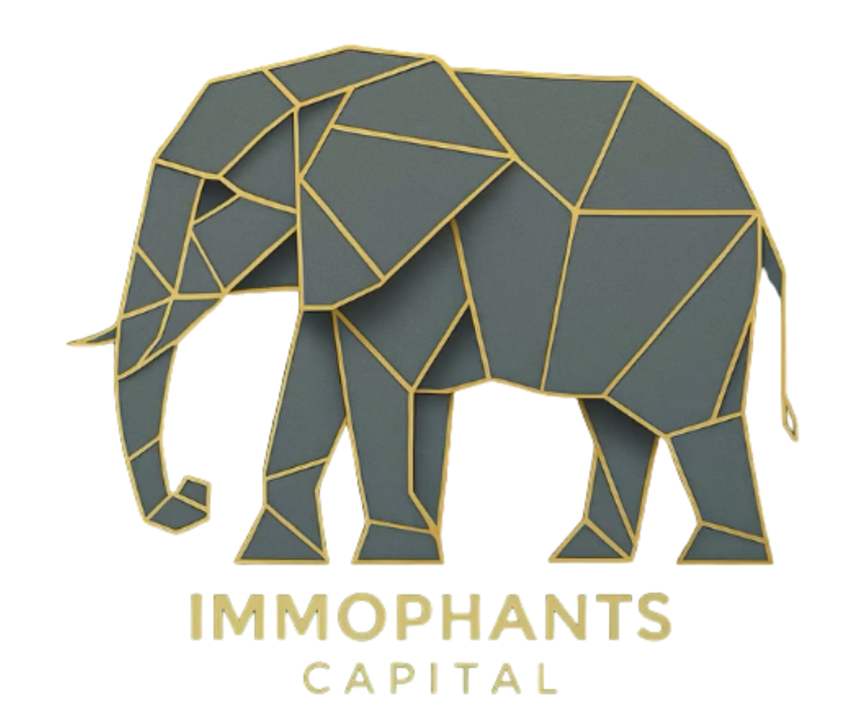 Immophants Capital