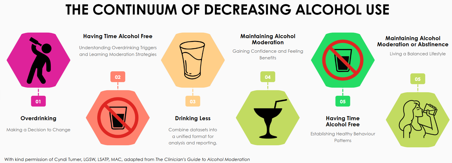 Continuum of decreasing alcohol use
