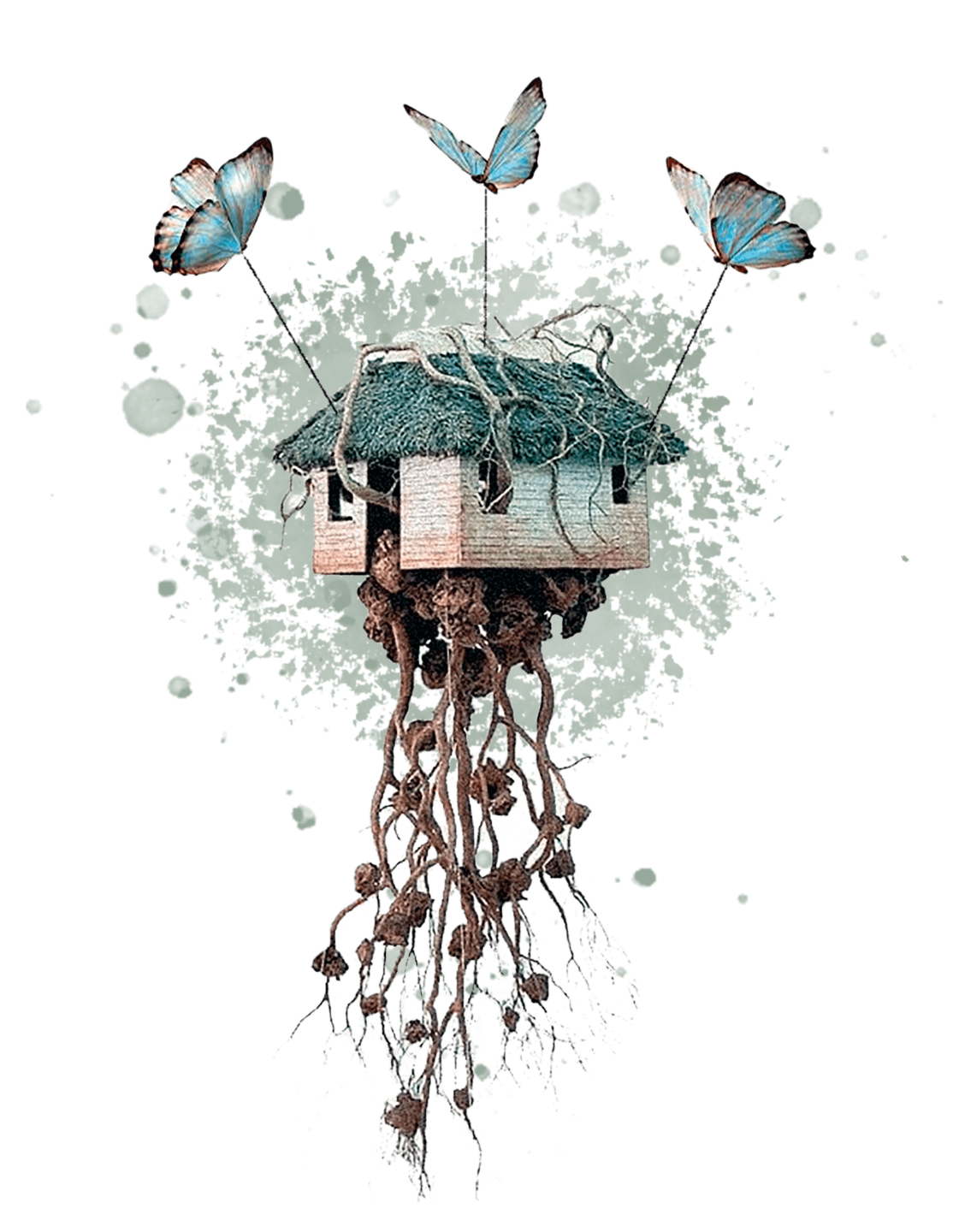 An artistic composition featuring two stone-like hands with greenery, a compass, and a colorful bird above, symbolizing nature and direction.