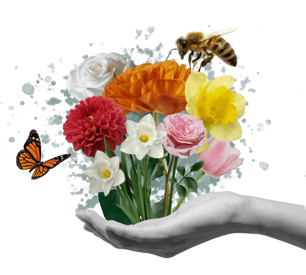 A person taking writing in a notebook and looking at a book. Theres a laptop and coffe mug on the table.